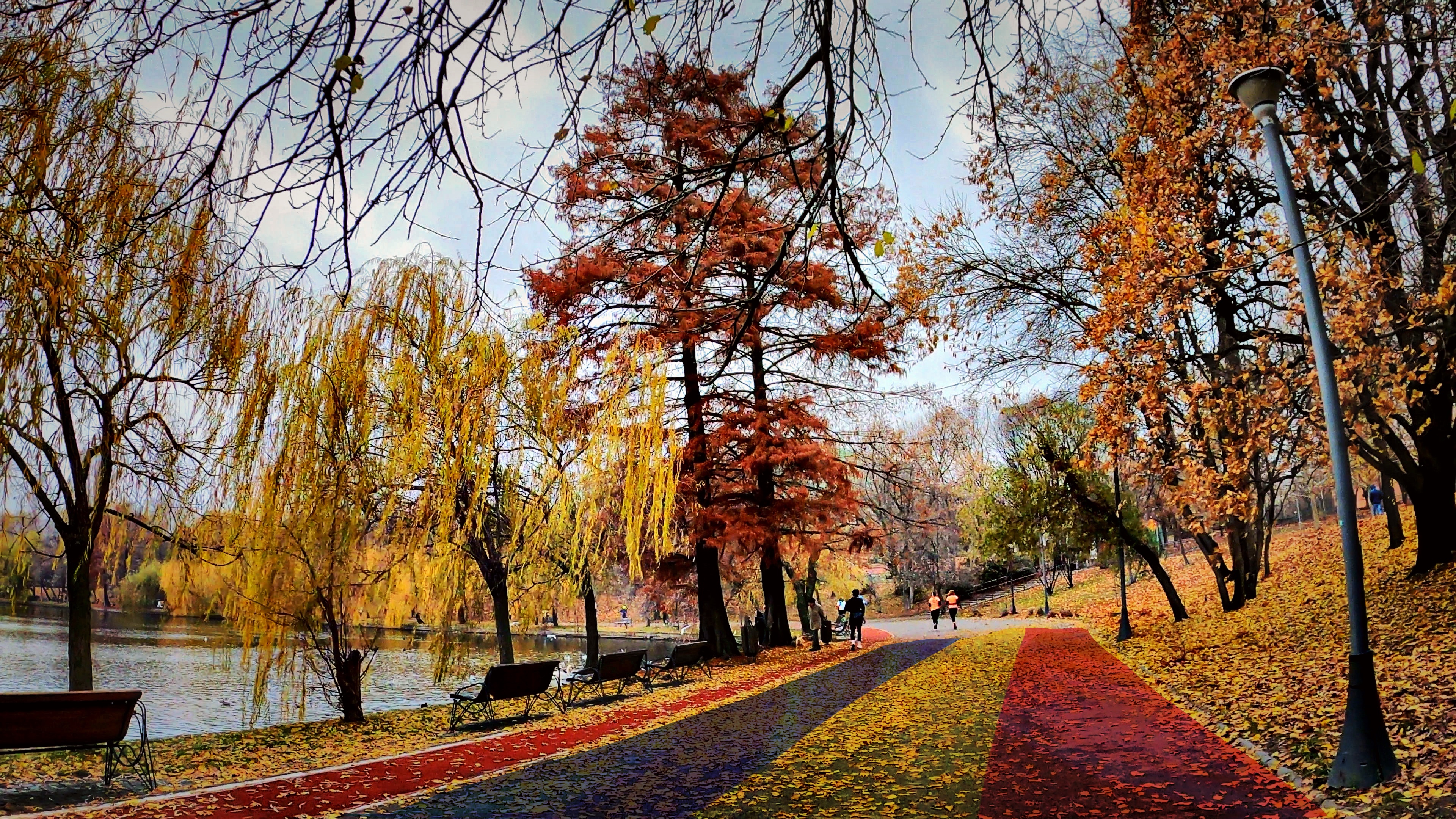 December 1st Marathon: The Shoes, the Stairs, and the Spirit of Nea Ilie