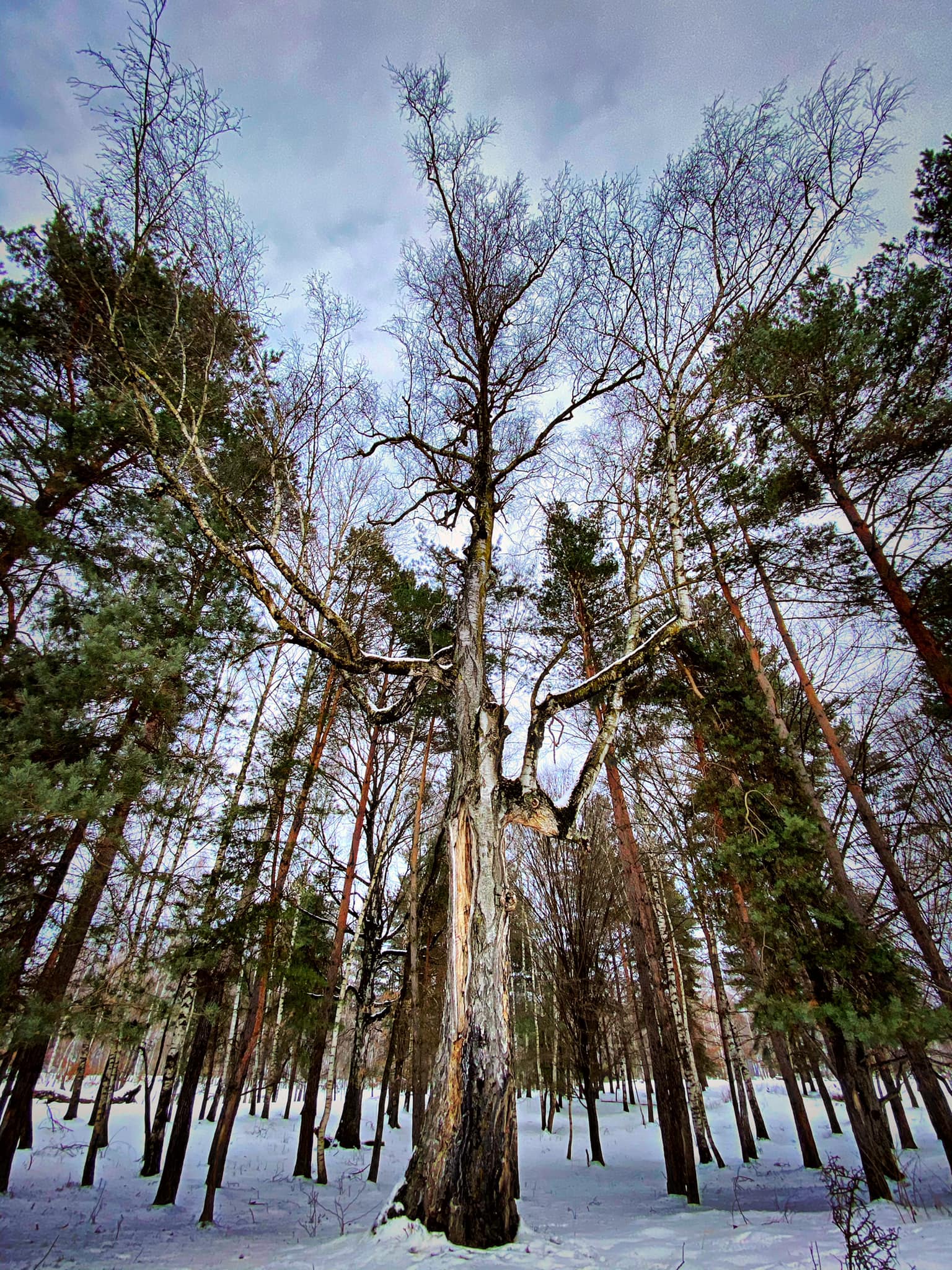 Prea putin intr-un timp atat de scurt...