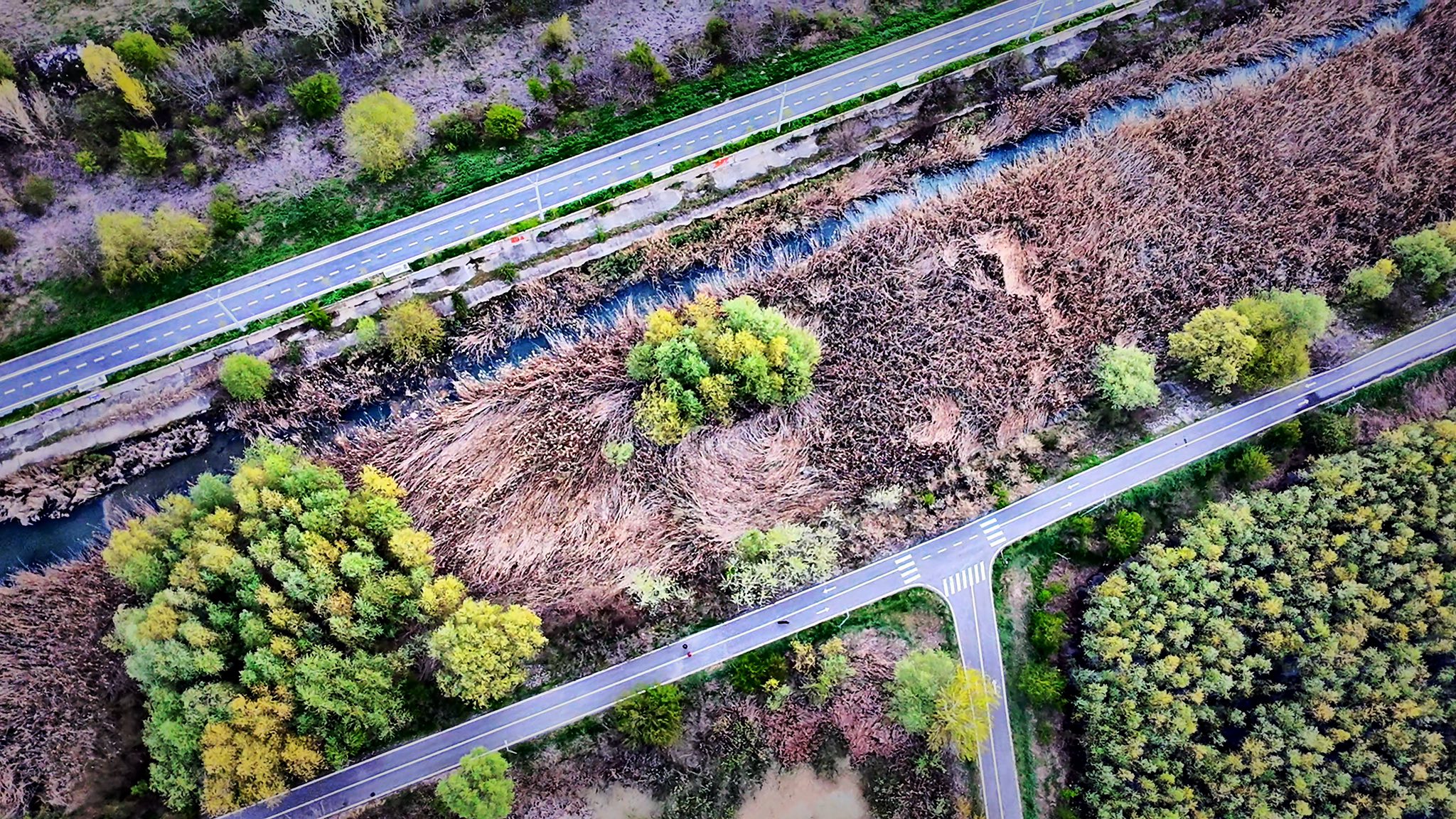30 km de liniste - lacul Morii si Chiajna