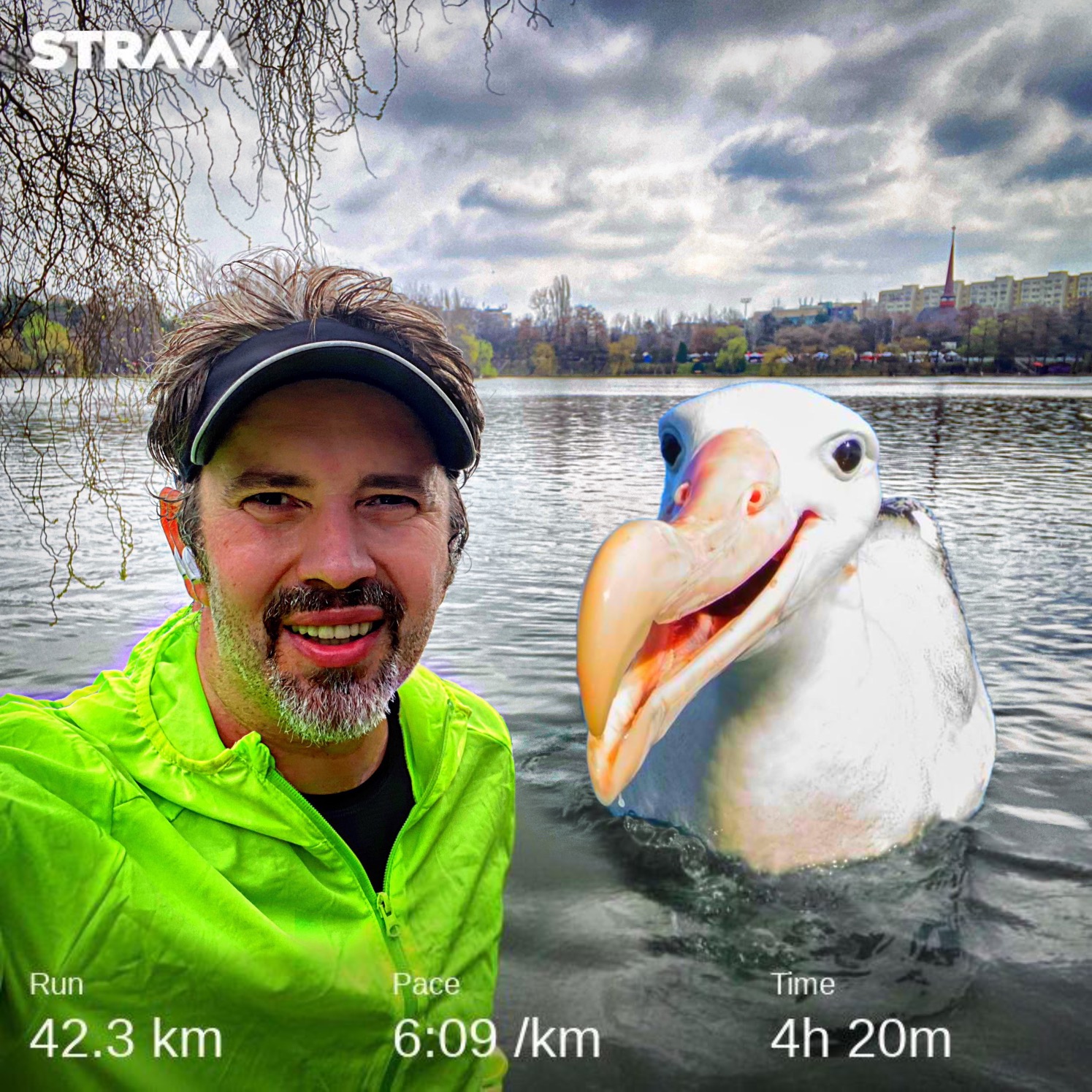 Pescarusul si maratonul